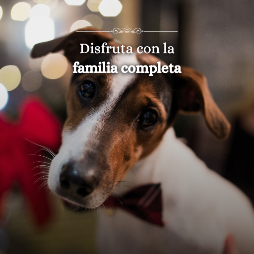 Restaurante Pet friendly