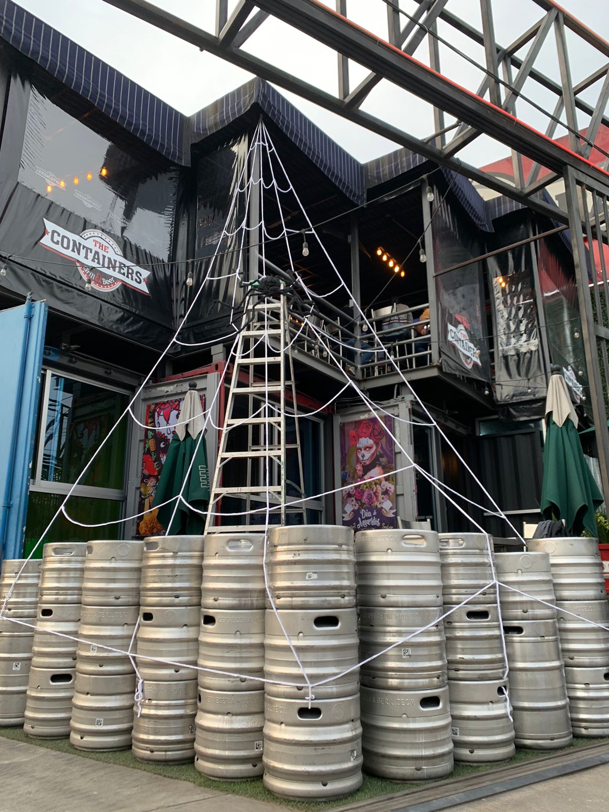 PHOTO-2023-10-26-10-01-04 4